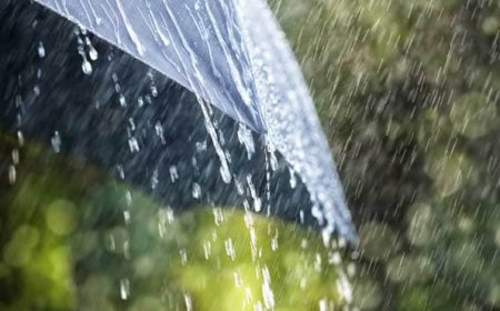 18 ਦਸੰਬਰ 2019 ਤੱਕ ਭਾਰੀ ਬਾਰਿਸ਼ ਦੇ ਆਸਾਰ