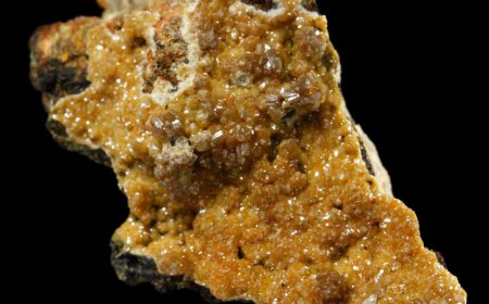 ਰੌਚਿਕ ਤੱਥ