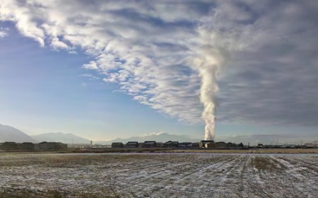 ਰੋਚਕ ਤੱਥ