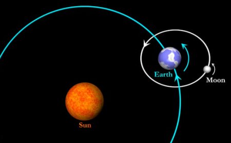 ਰੌਚਿਕ ਤੱਤ