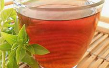 ਤੁਲਸੀ ਦੀ ਚਾਹ' ਪੀਣ ਦੇ ਜਾਣੋ ਫਾਇਦੇ