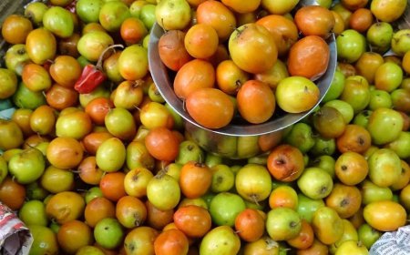 ਬੇਰ, ਖਾਣ ਨਾਲ ਹੋਣ ਵਾਲਾ ਫਾਇਦੇ