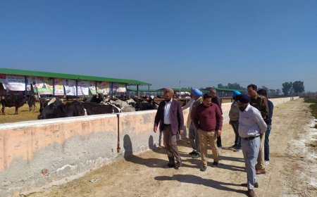 ਐੱਸ.ਡੀ.ਐੱਮ.ਵੱਲੋਂ ਰੱਤਾ ਟਿੱਬਾ ਗਊਸ਼ਾਲਾ ਦਾ ਦੌਰਾ