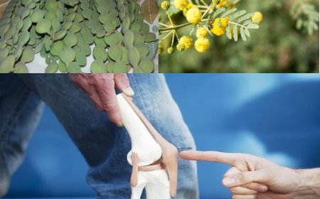 ਘਰੇਲੂ ਨੁਸਖਾ ਅਪਣਾ ਕੇ ਚੁਟਕੀਆਂ 'ਚ ਭਜਾਓ ਜੋੜਾਂ ਦਾ ਦਰਦ