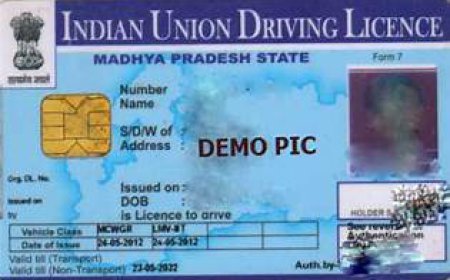 ਟਰਾਂਸਪੋਰਟ ਵਿਭਾਗ, 30 ਦਿਨਾਂ 'ਚ ਲਾਇਸੈਂਸ ਨਾ ਬਣਾਉਂਣ 'ਤੇ ਮੁਅੱਤਲ ਕੀਤੇ ਜਾਣਗੇ ਅਧਿਕਾਰੀ