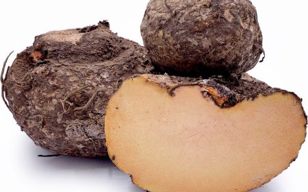 ਲੀਵਰ ਦੀ ਸਮੱਸਿਆ ਤੋਂ ਪਰੇਸ਼ਾਨ ਲੋਕਾਂ ਲੈ ਵਰਧਾਨ ਹੈ ਜਿਮੀਕੰਦ