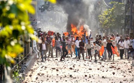 ਦਿੱਲੀ ਹਿੰਸਾ ‘ਚ ਹੁਣ ਦੰਗਾਕਾਰੀਆਂ ਨੂੰ ਵੇਖਦੇ ਹੀ ਗੋਲੀ ਮਾਰਨ ਦੇ ਆਦੇਸ਼,