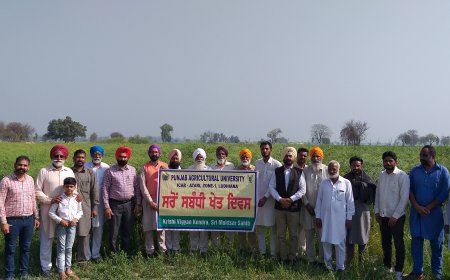 ਕੇ.ਵੀ.ਕੇ ਵਲੋਂ ਸਰੋਂ ਸਬੰਧੀ ਖੇਤ ਦਿਵਸ ਦਾ ਆਯੋਜਨ