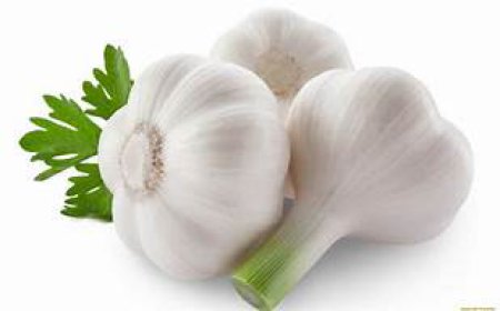 ਜਾਣੋ ਲਸਣ ਖਾਣ ਨਾਲ ਹੋਣ ਵਾਲੇ ਬੇਮਿਸਾਫ ਫਾਇਦੇ