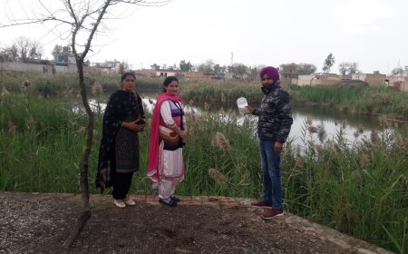 ਮੱਛਰਾ ਦੇ ਲਾਰਵੇ ਦੇ ਖਾਤਮੇ ਲਈ ਛੱਪੜਾ 'ਚ ਗੰਬੂਜੀਆ ਮੱਛੀਆ ਛੱਡੀਆ