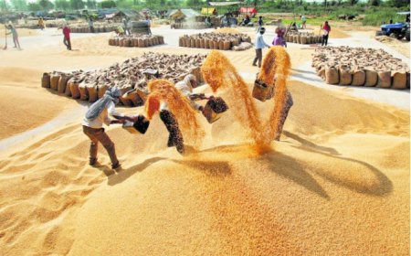 ਕਰੋਨਾ ਵਾਇਰਸ ਤੋਂ ਲੋਕਾਂ ਨੂੰ ਬਚਾਉਣ ਲਈ ਅਨਾਜ ਮੰਡੀਆਂ ਵਿੱਚ ਕੀਤੇ ਗਏ ਹਨ ਢੁਕਵੇਂ ਪ੍ਰਬੰਧ- ਡਿਪਟੀ ਕਮਿਸ਼ਨਰ