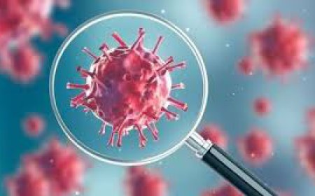 ਸਾਰੇ ਕਰੋਨਾ ਵਾਇਰਸ ਦੇ ਪੈਡਿੰਗ ਸੈਂਪਲਾਂ ਦੀ ਰਿਪੋਰਟ ਆਈ ਨੈਗੇਟਿਵ-- ਡਿਪਟੀ ਕਮਿਸ਼ਨਰ-ਪਿਛਲੇ ਦੋ ਦਿਨਾਂ ਤੋਂ ਨਹੀਂ ਲਏ ਗਏ ਕਰੋਨਾ ਵਾਇਰਸ ਦੇ ਸੈਂਪਲ