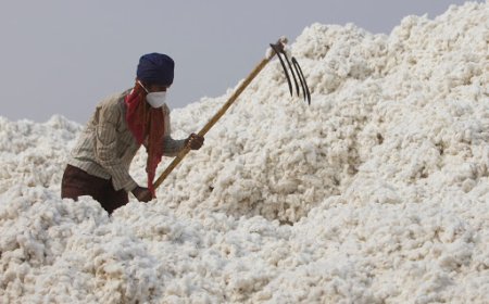 ਜ਼ਿਲ੍ਹਾ  ਪ੍ਰਸ਼ਾਸਨ ਦੇ ਯਤਨਾਂ ਨਾਲ ਦੋ ਕਪਾਹ ਫੈਕਟਰੀਆਂ ਖੁੱਲ੍ਹੀਆਂ