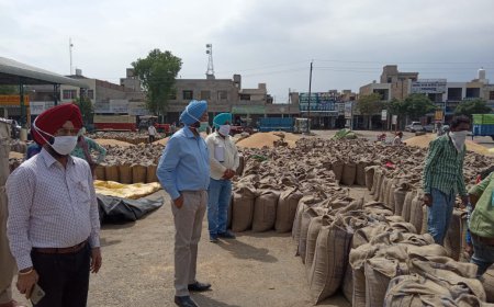 ਕਣਕ ਖਰੀਦਣ ਲਈ ਸਾਰੇ ਢੁਕਵੇ ਪ੍ਰਬੰਧ ਕੀਤੇ -- ਜ਼ਿਲ੍ਹਾ ਮੰਡੀ ਅਫਸਰ