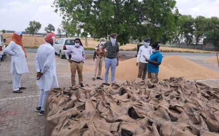 ਐਸ.ਡੀ.ਐਮ ਮਲੋਟ ਅਤੇ ਗਿੱਦੜਬਾਹਾ ਨੇ ਸਬ ਡਵੀਜ਼ਨ ਦੀਆਂ ਵੱਖ-ਵੱਖ ਅਨਾਜ ਮੰਡੀਆਂ ਦਾ ਕੀਤਾ ਦੌਰਾ