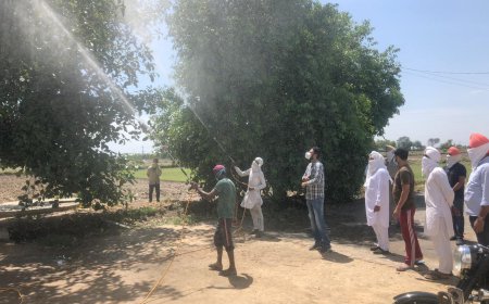 ਮਿਸ਼ਨ ਫਤਹਿ ਤਹਿਤ ਲੋਕਾਂ ਨੂੰ ਕੋਰਨਾ ਦੇ ਬਚਾਅ ਸਬੰਧੀ ਲਗਾਤਾਰ ਕੀਤਾ ਜਾ ਰਿਹਾ ਹੈ ਜਾਗਰੂਕ