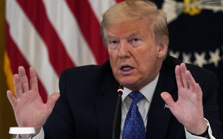 ਡੋਨਾਲਡ ਟਰੰਪ ਨੇ ਮੁਅੱਤਲ ਕੀਤਾ H1-B ਵੀਜ਼ਾ