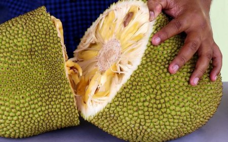 ਕਟਹਲ ਦਾ ਸੇਵਨ ਥਾਇਰਾਇਡ ਦੇ ਮਰੀਜ਼ਾਂ ਲਈ ਫ਼ਾਇਦੇਮੰਦ ਹੁੰਦਾ ਹੈ