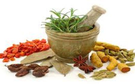 ਰੋਗਾਂ ਨਾਲ ਲੜਣ ਦੀ ਸਮਰੱਥਾ ਵਧਾਉਣ ਦੇ 5 ਆਸਾਨ ਤਰੀਕੇ......