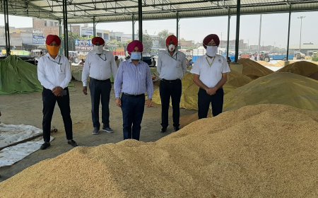 ਝੋਨੇ ਖਰੀਦ ਦੀ ਸੰਪੂਰਨ ਜਾਣਕਾਰੀ ਸਰਕਾਰ ਨੂੰ ਦੇਣ ਲਈ ''ਕੈਪਟਨ ਦੇ ਫੌਜੀ'' ਫਿਰ ਮੈਦਾਨ 'ਚ