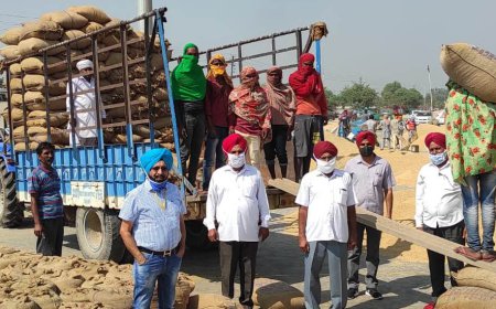 ਜੀ.ਓ.ਜੀ ਨਾ ਦਾਣਾਮੰਡੀਆਂ ਵਿਚ ਲਿਆ ਝੋਨੇ ਨਰਮੇ ਦੀ ਖਰੀਦ ਦਾ ਜਾਇਜਾ