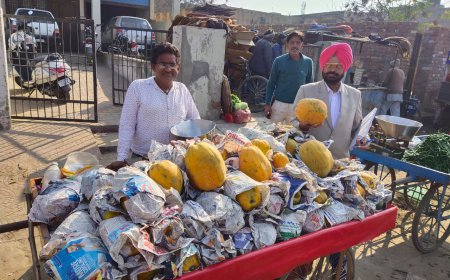 ਤੰਦਰੁਸਤ ਮਿਸ਼ਨ ਪੰਜਾਬ ਤਹਿਤ ਮਾਰਕੀਟ ਕਮੇਟੀਆਂ ਦੇ ਅਧਿਕਾਰੀਆਂ ਵਲੋਂ ਵੱਖ ਵੱਖ ਸਬਜੀ ਮੰਡੀਆਂ ਦੀ ਕੀਤੀ ਚੈਕਿੰਗ