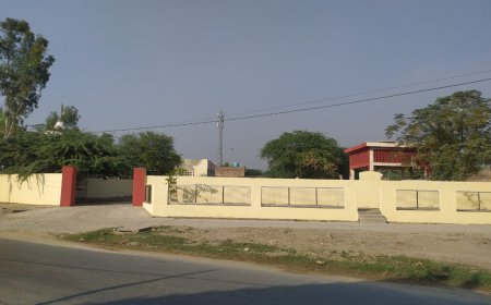 ਮਿਸ਼ਨ ਤੰਦਰੁਸਤ ਪੰਜਾਬ ਤਹਿਤ ਪਿੰਡ ਰਣਜੀਤਗੜ੍ਹ ਨੂੰ ਦਿੱਤੀ ਸੁੰਦਰ ਦਿਖ - ਡਾ:ਕੁਸੁਮ ਅਗਰਵਾਲ