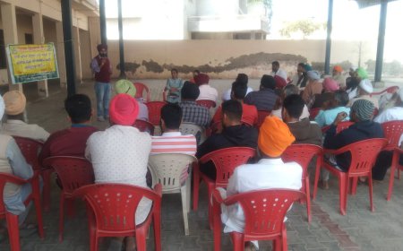 ਨਰਮੇ ਤੇ ਗੁਲਾਬੀ ਸੁੰਢੀ ਦੀ ਰੋਕਥਾਮ ਲਈ ਕਿਸਾਨਾਂ ਨੂੰ ਕੈਂਪ ਲਗਾ ਕੀਤਾ ਜਾ ਰਿਹਾ ਜਾਗਰੂਕ- ਖੇਤੀਬਾੜੀ ਵਿਭਾਗ ਮਲੋਟ