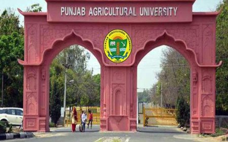 ਪੰਜਾਬ ਖੇਤੀਬਾੜੀ ਯੂਨੀਵਰਸਿਟੀ' ਨੇ ਮਾਰਚ-2022 'ਚ ਲੱਗਣ ਵਾਲੇ 'ਕਿਸਾਨ ਮੇਲਿਆਂ ਦੀਆਂ ਤਾਰੀਖ਼ਾਂ ਐਲਾਨੀਆਂ