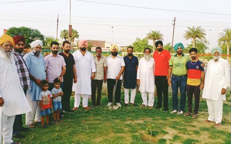 ਪੰਜਾਬ ਪੈਲੇਸ ਦੇ ਸਾਹਮਣੇ ਕੂੜੇ ਵਾਲੇ ਡੰਪ ਦੀ ਜਗ੍ਹਾ ਲਗਾਏ ਗਏ ਬੂਟੇ