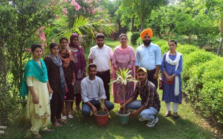 ਸੀ. ਜੀ. ਐੱਮ ਕਾਲਜ ਮੋਹਲਾਂ ਦੇ ਸਮੂਹ ਸਟਾਫ਼ ਅਤੇ ਵਿਦਿਆਰਥੀਆਂ ਵੱਲੋਂ ਲਗਾਏ ਗਏ ਬੂਟੇ