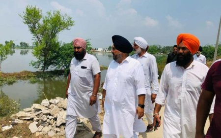 ਆਪ' ਸਰਕਾਰ ਮੀਂਹ ਦੇ ਪਾਣੀ ਦੀ ਨਿਕਾਸੀ ਲਈ ਚੁੱਕੇ ਤੁਰੰਤ ਠੋਸ ਕਦਮ- ਰੋਜ਼ੀ ਬਰਕੰਦੀ