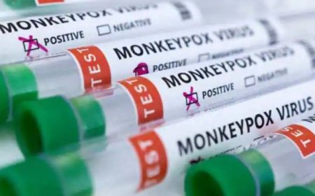 ਪੰਜਾਬ ਵਿੱਚ 'ਮੰਕੀਪਾਕਸ' ਦੀ ਦਸਤਕ, ਮੋਹਾਲੀ ਜ਼ਿਲ੍ਹੇ 'ਚ ਸਕੂਲੀ ਬੱਚੇ ਦੀ ਰਿਪੋਰਟ ਆਈ ਪੌਜ਼ੀਟਿਵ