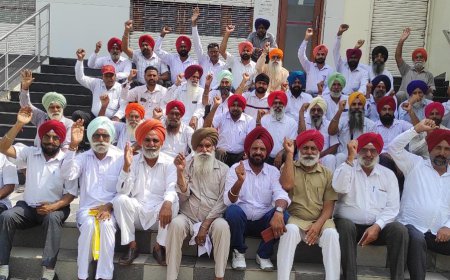 ਜੀ.ਓ.ਜੀ ਅੱਜ ਕੈਬਨਿਟ ਮੰਤਰੀ ਫੌਜਾ ਸਿੰਘ ਨੂੰ ਫਿਰੋਜਪੁਰ ‘ਚ ਦਿਖਾਉਣਗੇ ਕਾਲੀਆਂ ਝੰਡੀਆਂ