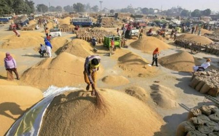 ਅੱਜ ਤੋਂ ਪੰਜਾਬ ਵਿੱਚ 'ਝੋਨੇ' ਦੀ ਸਰਕਾਰੀ ਖ਼ਰੀਦ ਸ਼ੁਰੂ