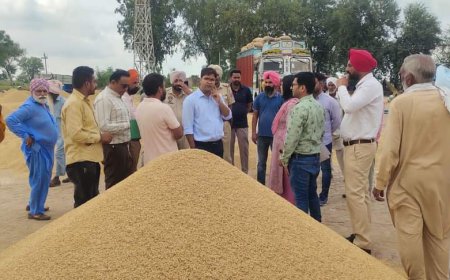ਡਿਪਟੀ ਕਮਿਸ਼ਨਰ ਨੇ ਅਨਾਜ ਮੰਡੀਆਂ ਦਾ ਕੀਤਾ ਦੌਰਾਂ ਅਤੇ ਖਰੀਦ ਪ੍ਰਬੰਧਾਂ ਦਾ ਲਿਆ ਜਾਇਜਾ
