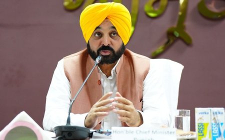 ਮੁੱਖ ਮੰਤਰੀ ਭਗਵੰਤ ਮਾਨ ਨੇ ਪਰਾਲੀ ਸਾੜਨ ਦੀ ਸਮੱਸਿਆ ਨਾਲ ਨਜਿੱਠਣ ਲਈ 8 ਨੁਕਾਤੀ ਏਜੰਡਾ ਕੀਤਾ ਤਿਆਰ