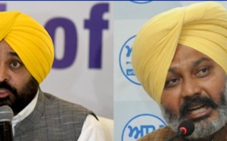 ਪੰਜਾਬ 'ਚ ਹੁਣ ਨਹੀਂ ਹੋਵੇਗੀ ਟੈਕਸ ਚੋਰੀ, ਮਾਨ ਸਰਕਾਰ ਨੇ ਚੁੱਕਿਆ ਵੱਡਾ ਕਦਮ