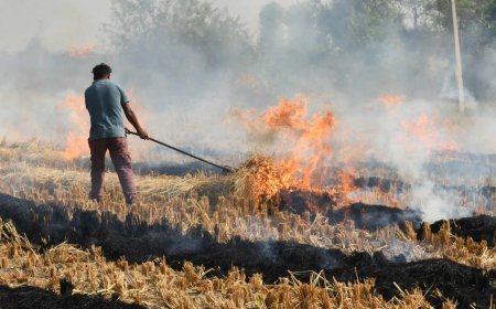 ਪੰਜਾਬ ਸਰਕਾਰ ਨੇ ਪਰਾਲੀ ਦੇ ਨਿਪਟਾਰੇ ਲਈ ਹਰ ਪਿੰਡ 'ਚ ਮਸ਼ੀਨਰੀ ਮੁਹੱਈਆ ਕਰਵਾਉਣ ਦਾ ਕੀਤਾ ਐਲਾਨ