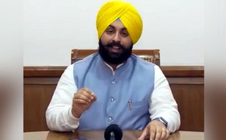 ਪੰਜਾਬ 'ਚ ਹੁਣ ਸਥਾਪਤ ਹੋਣਗੀਆਂ ਖਿਡੌਣਿਆਂ ਦੀਆਂ ਲਾਈਬ੍ਰੇਰੀਆਂ, ਸਰਕਾਰ ਵੱਲੋਂ ਗ੍ਰਾਂਟ ਜਾਰੀ