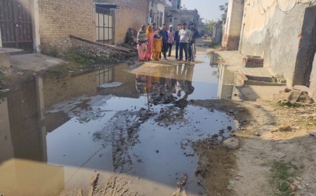 ਪਟੇਲ ਨਗਰ ਮਲੋਟ ਦੀ ਗਲੀ ਨੰ. 4 ਵਿੱਚ ਖੜ੍ਹਾ ਗੰਦਾ ਪਾਣੀ ਡੇਂਗੂ ਵਰਗੀਆਂ ਭਿਆਨਕ ਬਿਮਾਰੀਆਂ ਨੂੰ ਦੇ ਰਿਹਾ ਸੱਦਾ