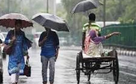 ਮੌਸਮ ਵਿਭਾਗ ਵੱਲੋਂ ਸ਼ੀਤ ਲਹਿਰ ਦਾ ਅਲਰਟ, ਮੀਂਹ ਦੇ ਆਸਾਰ, ਸੰਘਣੀ ਧੁੰਦ ਦੀ ਵੀ ਚਿਤਾਵਨੀ