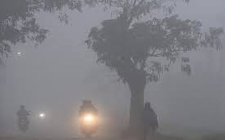 ਸੰਘਣੀ ਧੁੰਦ ਕਾਰਨ ਲੋਕਾਂ ਨੂੰ ਆ ਰਹੀਆਂ ਪ੍ਰੇਸ਼ਾਨੀਆਂ, ਦਿਨ ਅਤੇ ਰਾਤ ਦੇ ਤਾਪਮਾਨ ਵਿੱਚ 12-13 ਡਿਗਰੀ ਸੈਲਸੀਅਸ ਦਾ ਅੰਤਰ