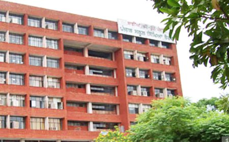 ਪੰਜਾਬ ਸਕੂਲ ਸਿੱਖਿਆ ਬੋਰਡ ਨੇ ਬਾਰਵੀਂ ਜਮਾਤ ਦੀਆਂ ਪ੍ਰੀਖਿਆਵਾਂ ਦਾ ਬਦਲਿਆ ਪੈਟਰਨ, ਵਿਦਿਆਰਥੀ ਅਤੇ ਅਧਿਆਪਕ ਪ੍ਰੇਸ਼ਾਨ