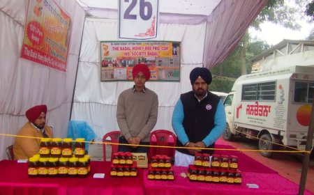 ਨੌਜਵਾਨ ਪ੍ਰਦੀਪ ਸਿੰਘ ਨੇ ਸ਼ਹਿਦ ਉਤਪਾਦਨ ਵਿੱਚ ਕੀਤਾ ਜਿਲ੍ਹਾ ਸ਼੍ਰੀ ਮੁਕਤਸਰ ਸਾਹਿਬ ਦਾ ਨਾਮ ਰੌਸ਼ਨ ਹੋਰਨਾਂ ਲਈ ਬਣਿਆ ਪ੍ਰੇਰਨਾ ਸਰੋਤ