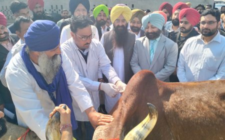 25 ਲੱਖ ਜਾਨਵਰਾਂ ਦਾ ਕੀਤਾ ਜਾਵੇਗਾ ਟੀਕਾਕਰਨ: ਗੁਰਮੀਤ ਸਿੰਘ ਖੁੱਡੀਆਂ