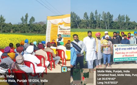 ਕੇ.ਵੀ.ਕੇ ਵੱਲੋਂ ਸਰ੍ਹੋਂ ਦੀ ਕਾਸ਼ਤ ਸੰਬੰਧੀ ਮਨਾਇਆ ਗਿਆ ਖੇਤ ਦਿਵਸ