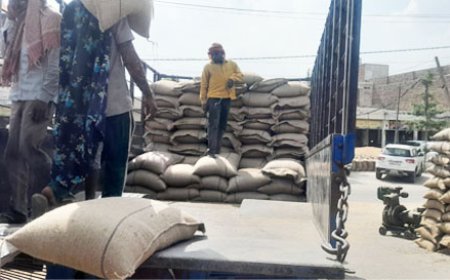 ਸ਼੍ਰੀ ਮੁਕਤਸਰ ਸਾਹਿਬ ਜਿਲ੍ਹੇ ਵਿੱਚ ਹੁਣ ਤੱਕ ਹੋਈ 3.51 ਲੱਖ ਮੀਟ੍ਰਿਕ ਟਨ ਕਣਕ ਦੀ ਖਰੀਦ