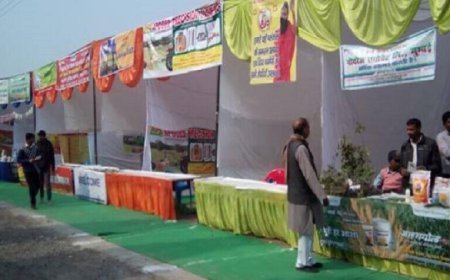 ਖੇਤੀਬਾੜੀ ਵਿਭਾਗ ਵੱਲੋਂ ਕਿਸਾਨਾਂ ਨੂੰ ਸਾਉਣੀ ਦੀਆਂ ਫਸਲਾਂ ਦੀ ਜਾਣਕਾਰੀ ਦੇਣ ਸੰਬੰਧੀ ਲਗਾਇਆ ਗਿਆ ਕਿਸਾਨ ਸਿਖਲਾਈ ਕੈਂਪ