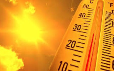 ਡਾ. ਪ੍ਰਭਜੀਤ ਸਿੰਘ ਸਹਾਇਕ ਸਿਵਲ ਸਰਜਨ ਨੇ ਲੋਕਾਂ ਨੂੰ ਗਰਮੀ ਤੋਂ ਬਚਣ ਲਈ ਜਾਗਰੁਕ ਕਰਨ ਲਈ ਜਾਰੀ ਕੀਤੇ ਪੋਸਟਰ